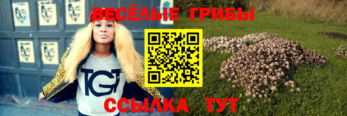 как найти закладки  Вход с VPN  Амурск  Галлюциногенные грибы прущие грибы 
